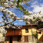 DSC00356 - copia - copia