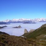 Picos de Europa