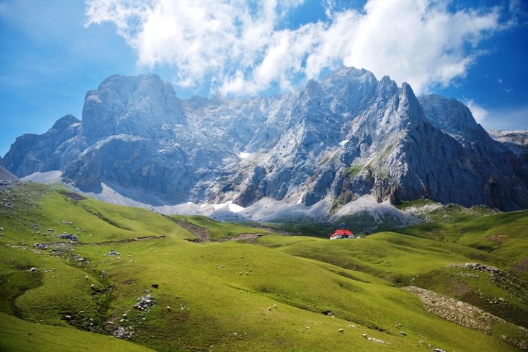 shutterstock_82375609