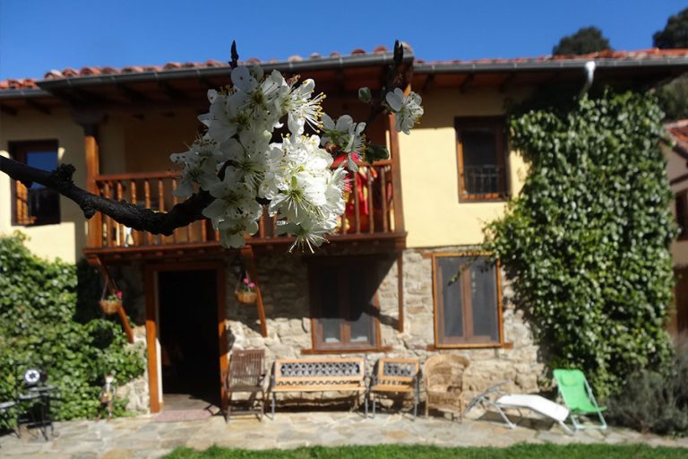 Nuestra casa de reposo. La perezosa.