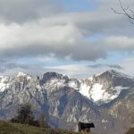 picos de europa